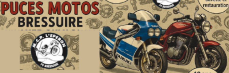 PUCES MOTO 3